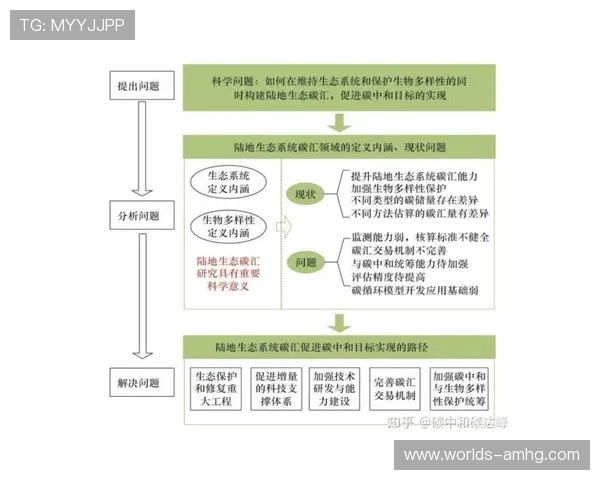 中国皇冠的收藏价值与市场潜力分析及投资建议 中国皇冠的收藏价值与市场潜力分析及投资建议