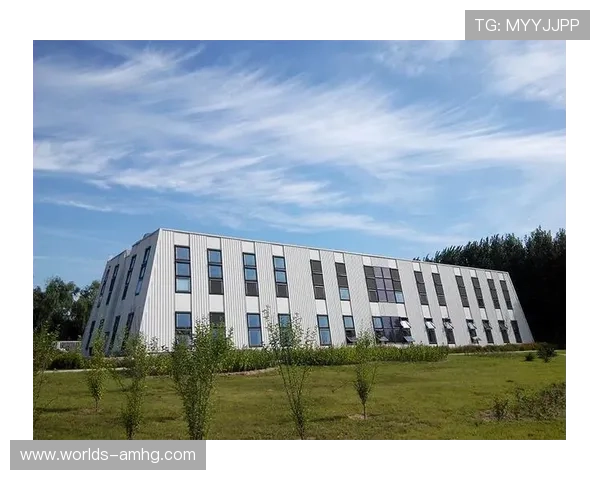 博发集团如何通过创新推动网络游戏产品多元化发展与用户体验提升